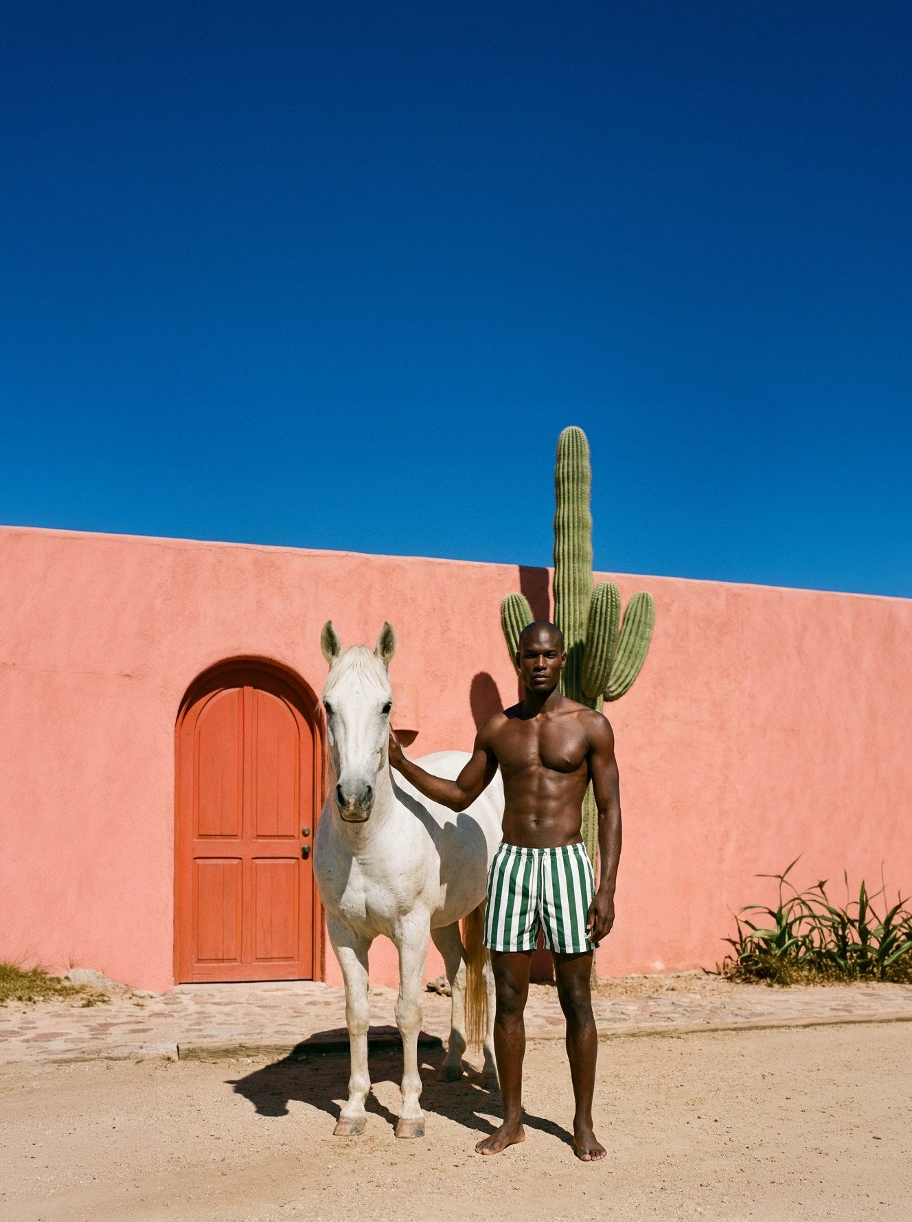 Palmees lookbook — horse and green stripes